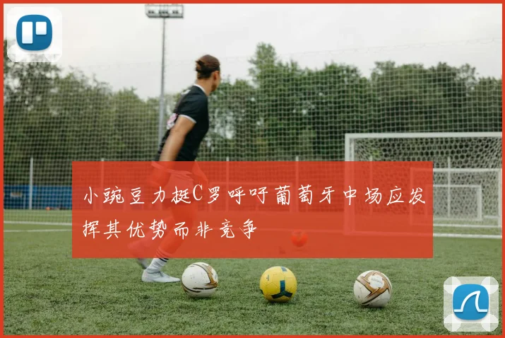 小豌豆力挺C罗呼吁葡萄牙中场应发挥其优势而非竞争
